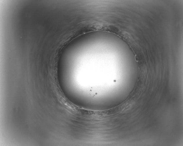 X0000069361105200605150909