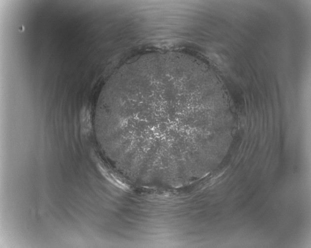 X0000069361106200605150909