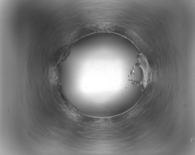 X0000069361107200605150909