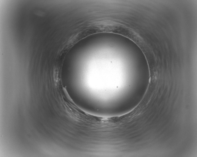 X0000069361108200605150909