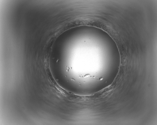 X0000069361109200605150909