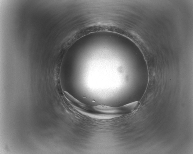 X0000069361110200605150909