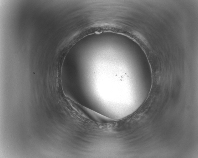 X0000069361111200605150909