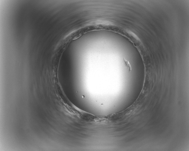 X0000069361112200605150909