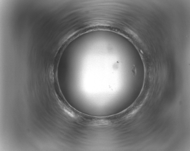 X0000069361113200605150909