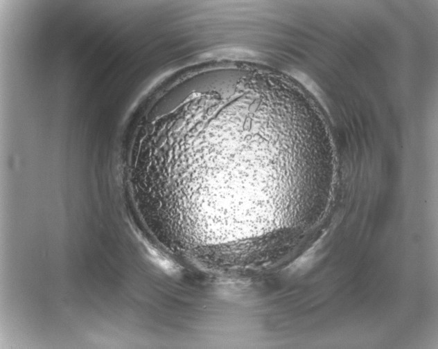 X0000069361115200605150909