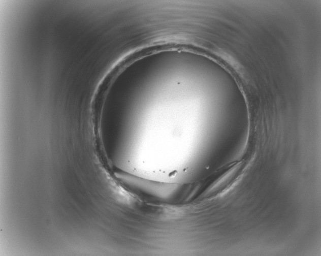 X0000069361118200605150909