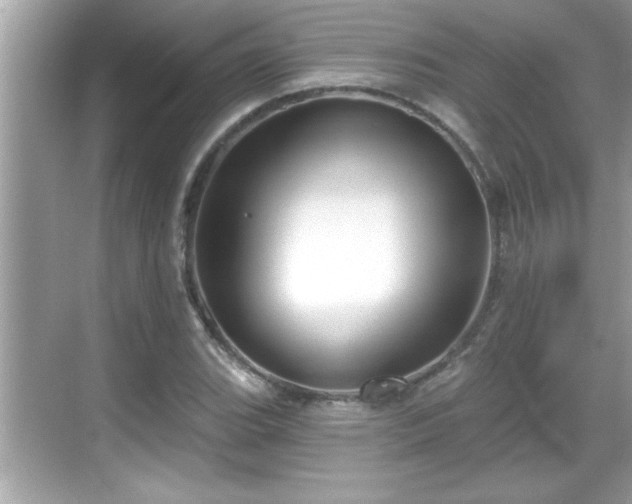 X0000069361119200605150909