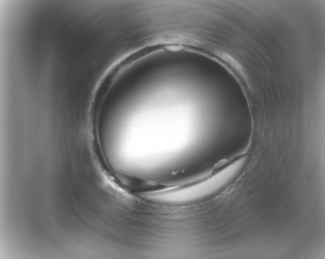 X0000069361120200605150909