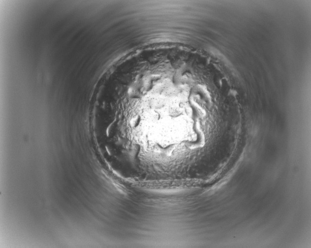 X0000069361121200605150909