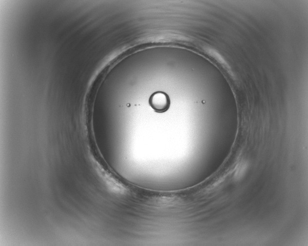 X0000069361122200605150909