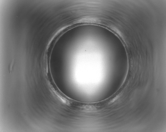 X0000069361123200605150909