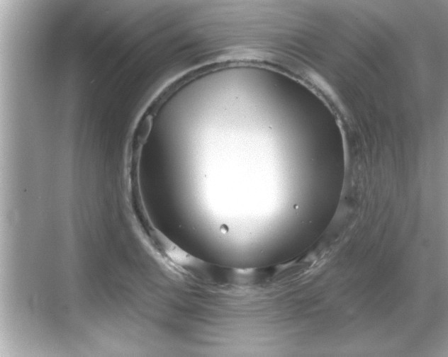 X0000069361124200605150909