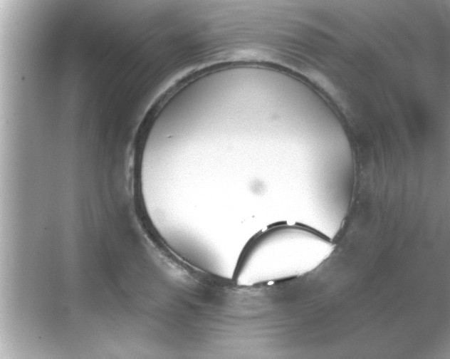 X0000069361126200605150909