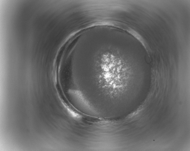 X0000069361127200605150909