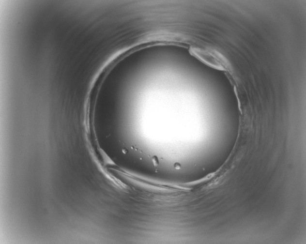 X0000069361128200605150909