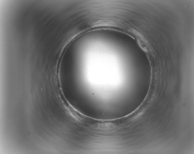 X0000069361129200605150909