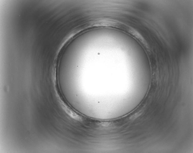 X0000069361130200605150909