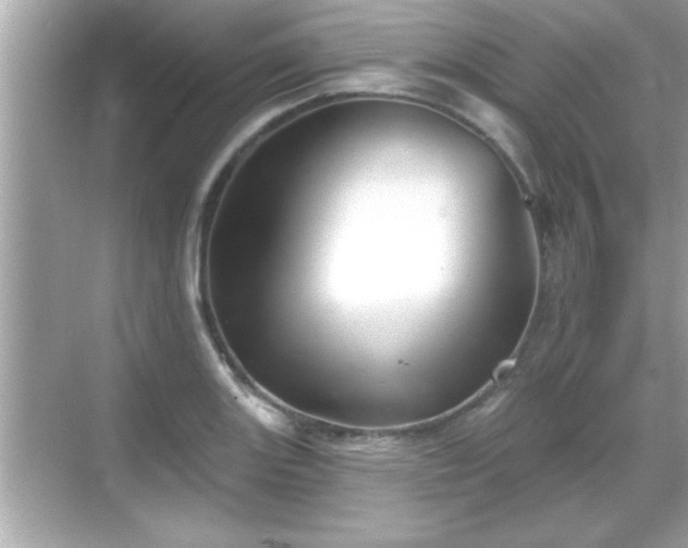 X0000069361131200605150909