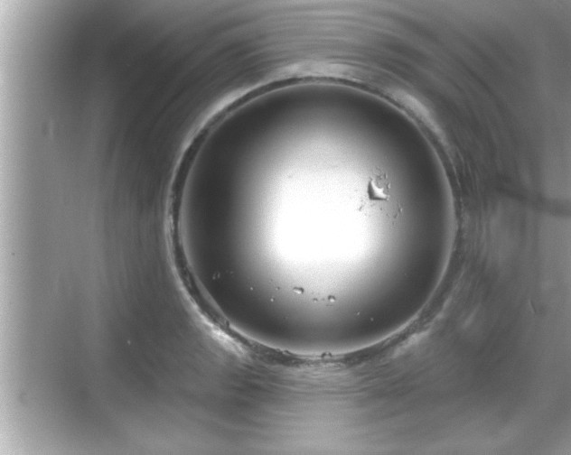 X0000069361133200605150909