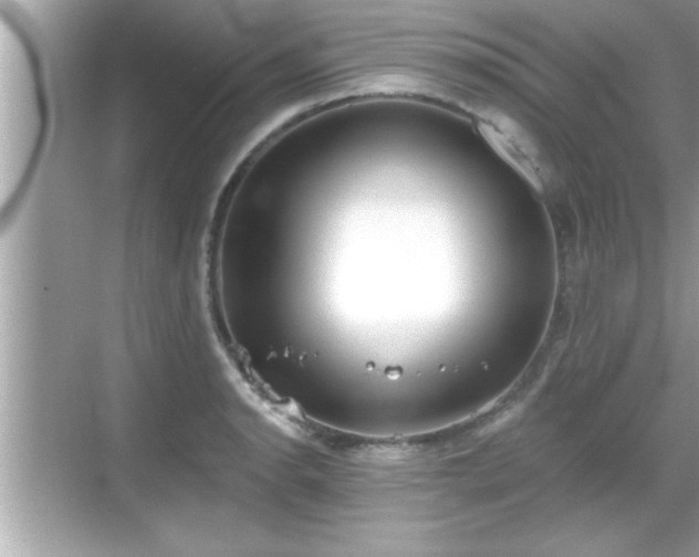 X0000069361134200605150909