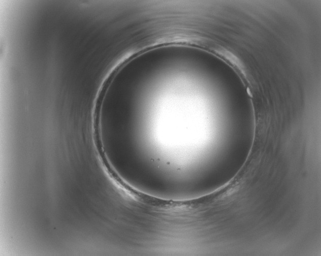 X0000069361135200605150909