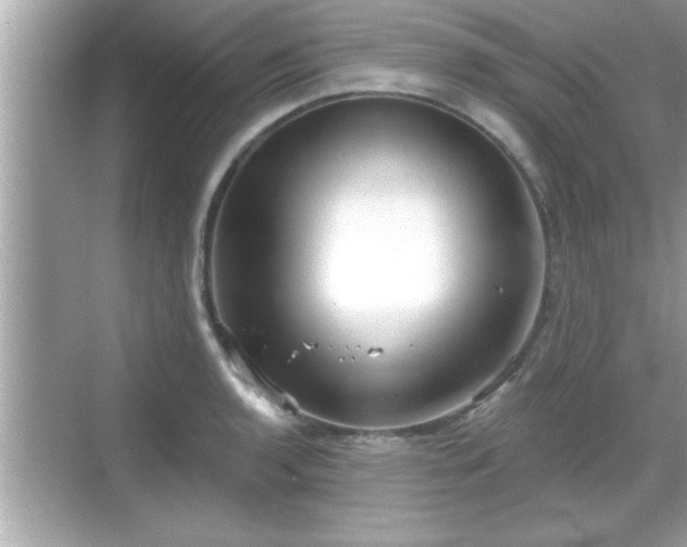 X0000069361136200605150910