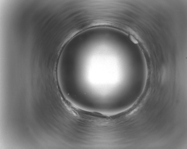 X0000069361137200605150910