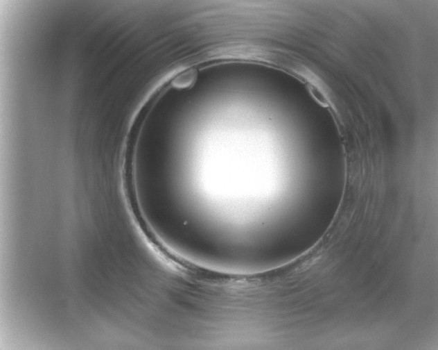 X0000069361139200605150910