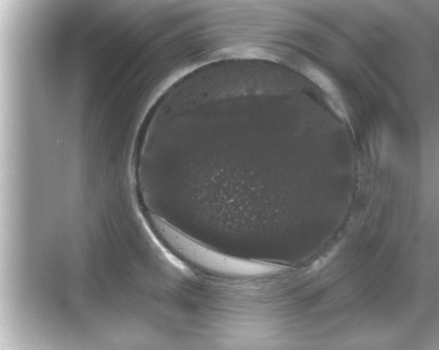 X0000069361141200605150910