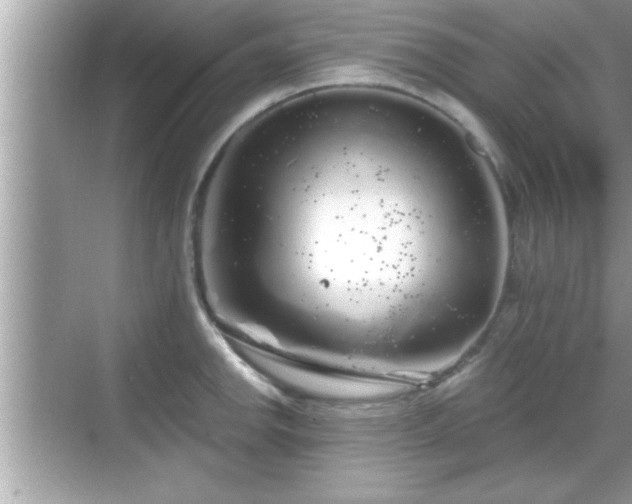 X0000069361142200605150910