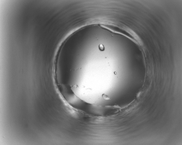 X0000069361144200605150910