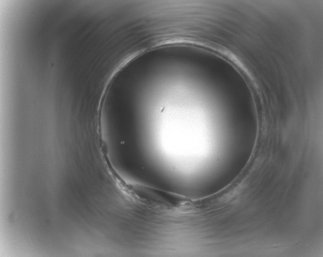 X0000069361145200605150910