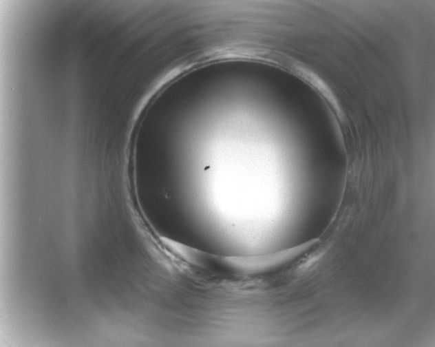 X0000069361146200605150910