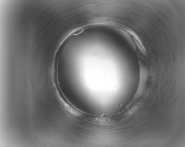 X0000069361147200605150910