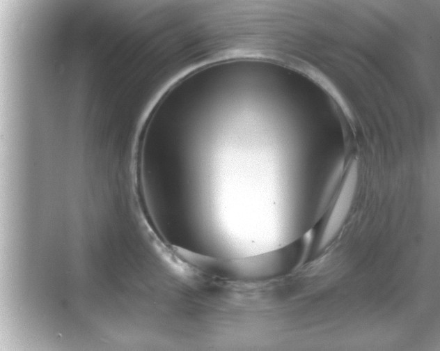 X0000069361148200605150910