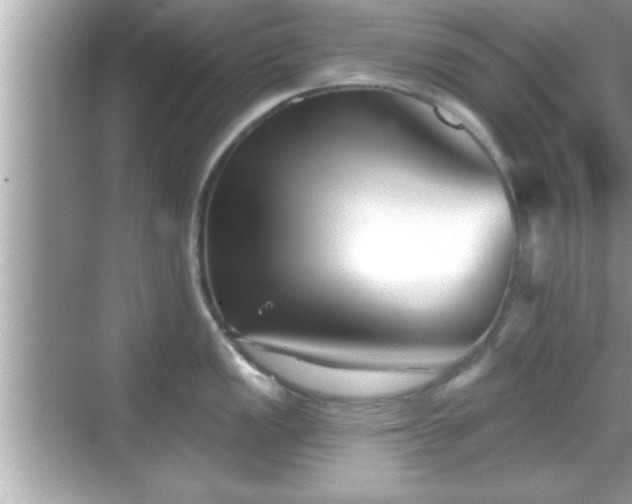 X0000069361149200605150910