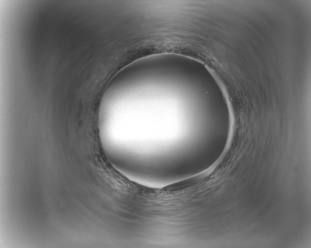 X0000069361153200605150909