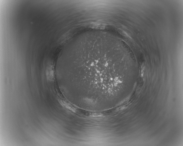 X0000069361154200605150909