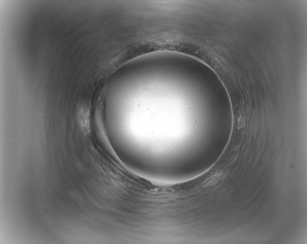 X0000069361156200605150909