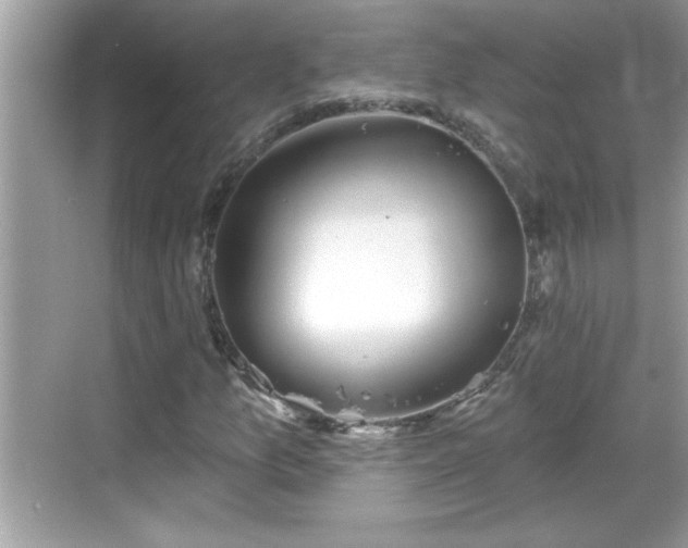 X0000069361157200605150909