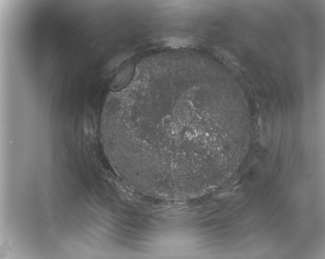 X0000069361158200605150909