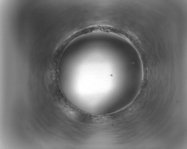 X0000069361159200605150909