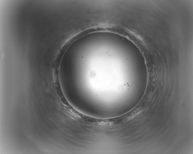 X0000069361160200605150909