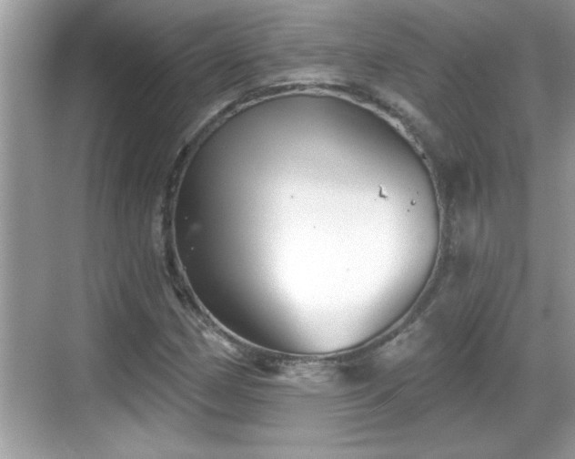 X0000069361162200605150909