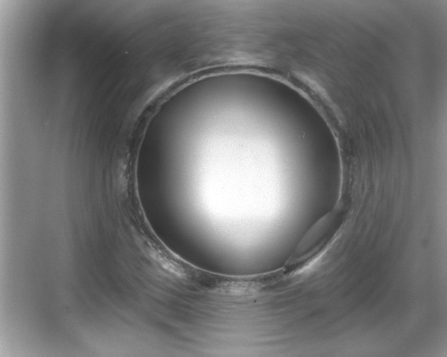 X0000069361163200605150909