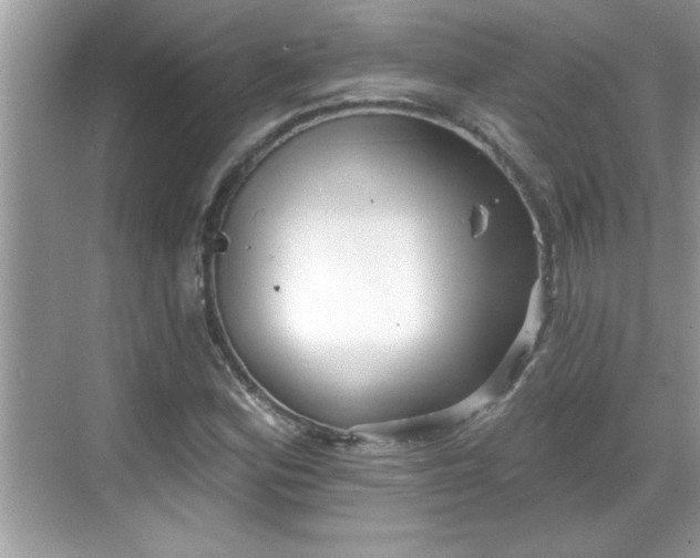 X0000069361164200605150909