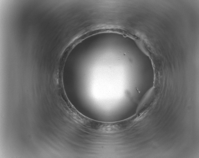 X0000069361165200605150909