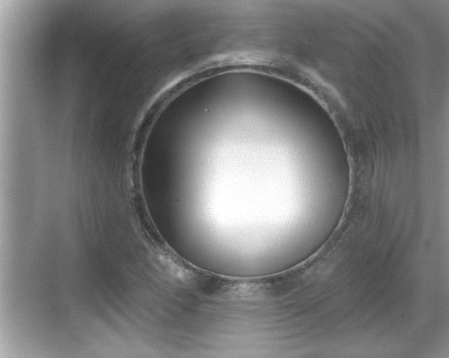 X0000069361166200605150909