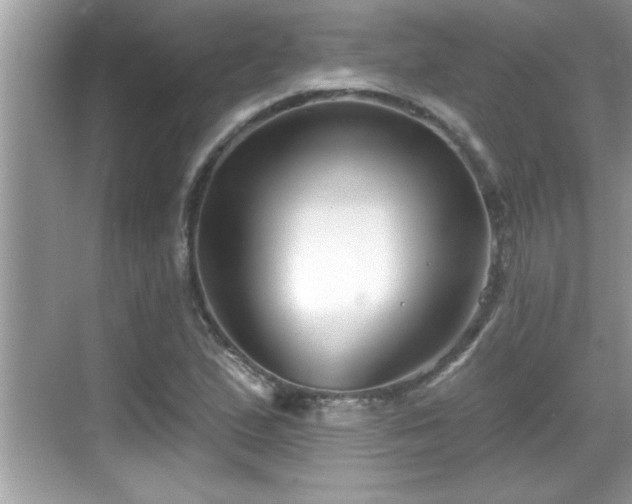 X0000069361167200605150909